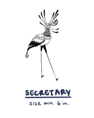 secretary
